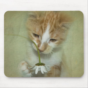 猫とデイジー マウスパッド