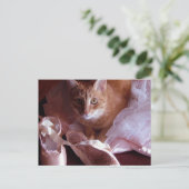 猫とバレエのスリッパ ポストカード (スタンド正面)