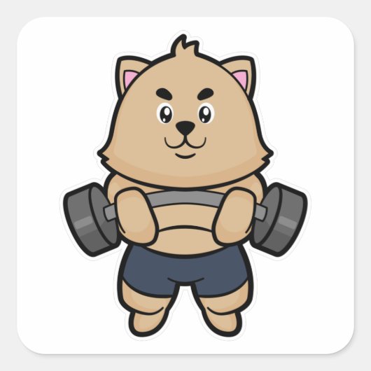 猫とバーベルボディビル スクエアシール (正面)