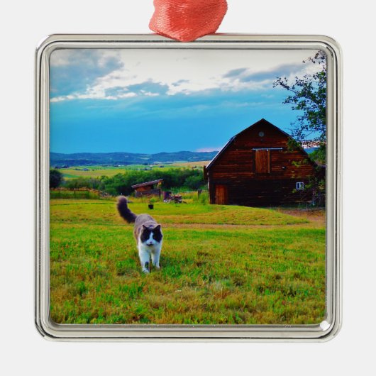 猫とバーンズ メタルオーナメント (正面)