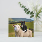 猫とヒツジ – フェリーニの田舎乗り ポストカード (スタンド正面)