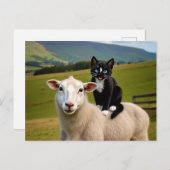 猫とヒツジ – フェリーニの田舎乗り ポストカード (正面/裏面)
