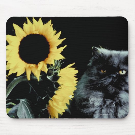 猫とヒマワリ マウスパッド (正面)