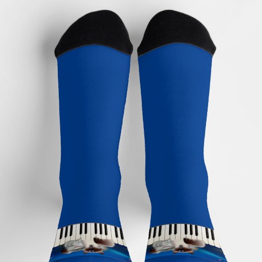 猫とピアノ ソックス (上部)