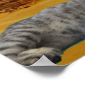 猫とピラミッド。 ポスター (角)