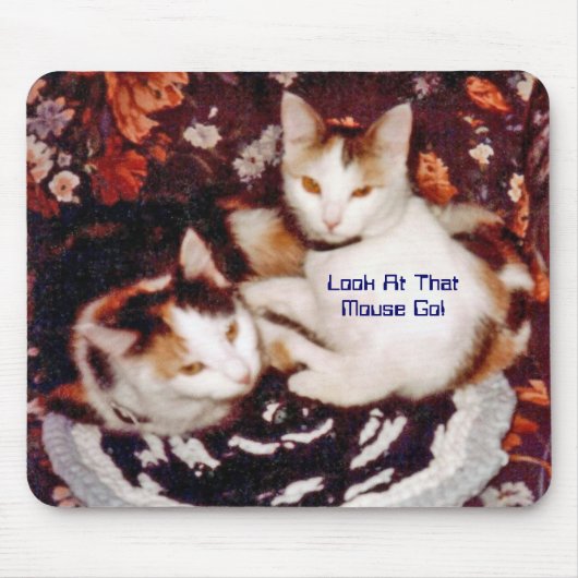 猫とマウスパッド マウスパッド (正面)