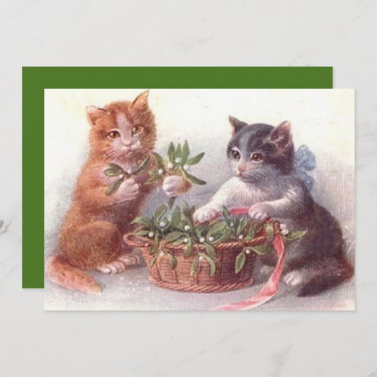 猫とヤドリギ (正面/裏面)