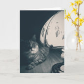 猫とランプのノワールスタイル写真 カード (黄色い花)