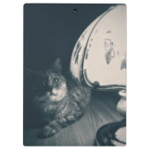 猫とランプのノワールスタイル写真 クリップボード (裏面)