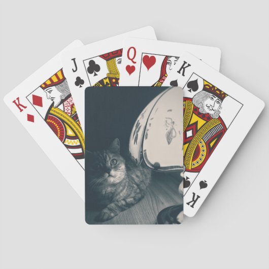 猫とランプのノワールスタイル写真 トランプ (裏面)