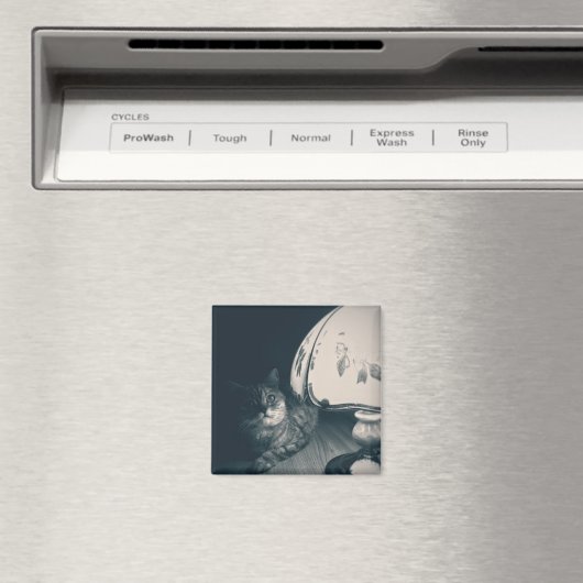 猫とランプのノワールスタイル写真 マグネット (インサイチュ (食洗機))