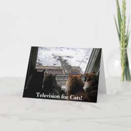 猫とリス カード