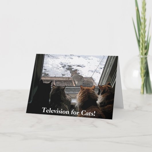 猫とリス カード (正面)