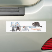 猫と一緒のPUPsロゴグッズ バンパーステッカー (車上)
