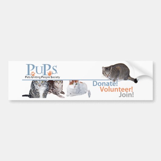 猫と一緒のPUPsロゴグッズ バンパーステッカー (正面)