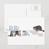 猫と一緒のPUPsロゴグッズ ポストカード (正面/裏面)