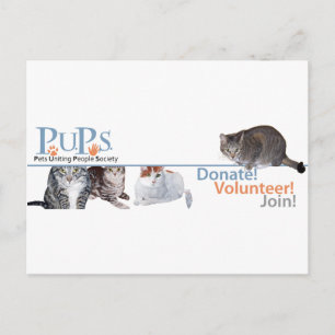猫と一緒のPUPsロゴグッズ ポストカード