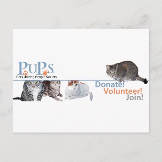 猫と一緒のPUPsロゴグッズ ポストカード (正面)
