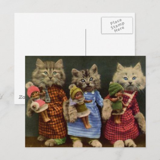 猫と人形 ポストカード (正面/裏面)