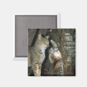 猫と子ネコby Tree マグネット (正面/裏面)