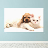 猫と子犬 キャンバスプリント (インサイチュ (ウッドフロア))