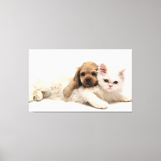 猫と子犬 キャンバスプリント (正面)