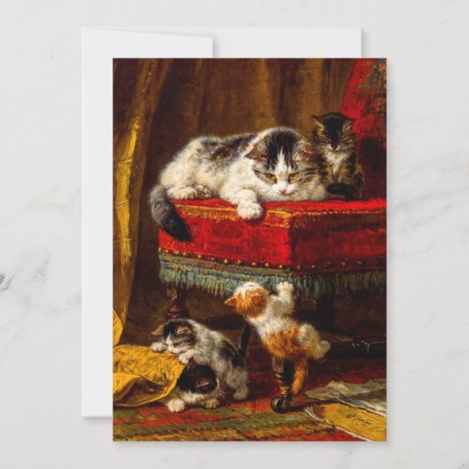 猫と子猫たちが椅子で遊ぶ 招待状 (正面)