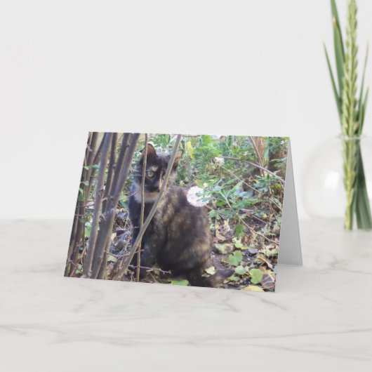 猫と子猫だけ空白の- card 案内状 (正面)