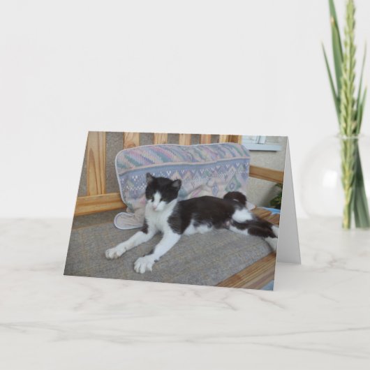 猫と子猫だけ空白の- card 案内状 (正面)