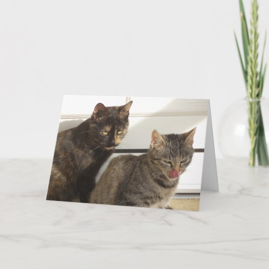 猫と子猫だけ空白の- card 案内状 (正面)