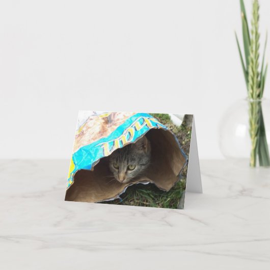 猫と子猫だけ空白の- card 案内状 (正面)