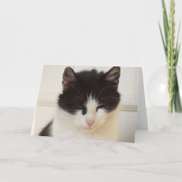 猫と子猫だけ空白の- card 案内状