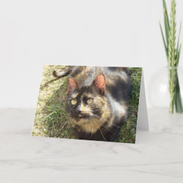 猫と子猫だけ空白の- card 案内状