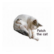 猫と子猫にパッチをあてる