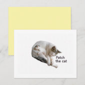 猫と子猫にパッチをあてる 出欠カード (正面/裏面)
