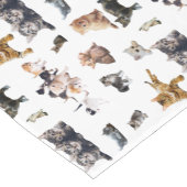 猫と子猫の写真が入った可愛い柄 ショートテーブルランナー (コーナー)