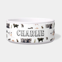 猫と子猫の写真を使ったカスタムパターン