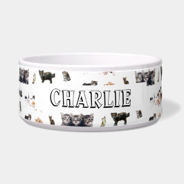 猫と子猫の写真を使ったカスタムパターン ボウル