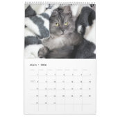 猫と子猫カレンダー カレンダー (3月 2026)