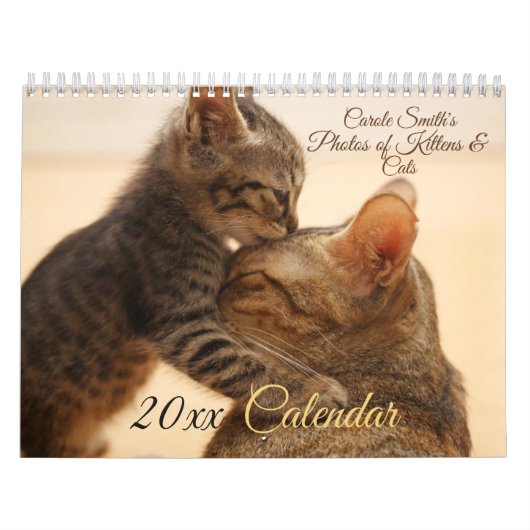 猫と子猫20XXカレンダーの写真 カレンダー (カバー)
