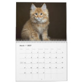猫と子猫20XXカレンダーの写真 カレンダー (3月 2027)