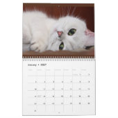 猫と子猫20XXカレンダーの写真 カレンダー (1月 2027)