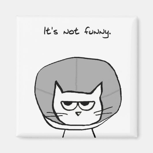 猫と恥の円錐-猫のおもしろい磁石 マグネット (正面)