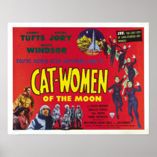 猫と月のポスター ポスター