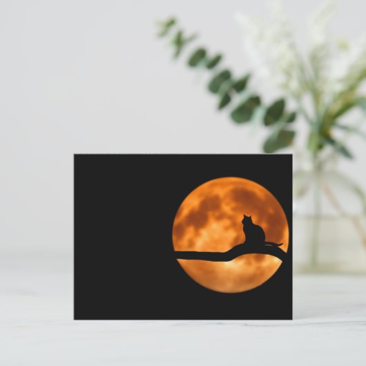猫と月 ポストカード (スタンド正面)