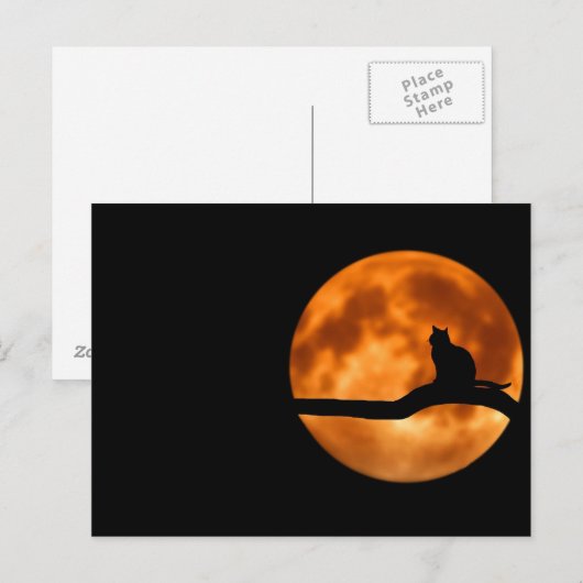 猫と月 ポストカード (正面/裏面)