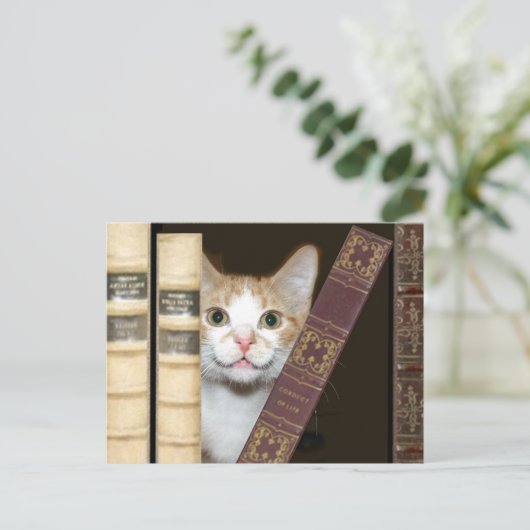 猫と本 ポストカード (スタンド正面)