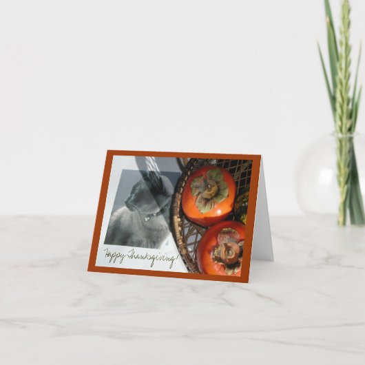 猫と柿 シーズンカード (正面)