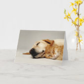 猫と犬が一緒に寝て… カード (黄色い花)