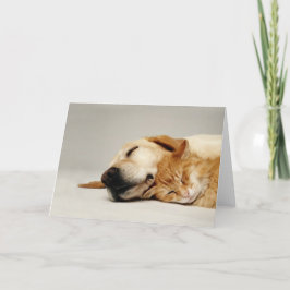 猫と犬が一緒に寝て… カード
